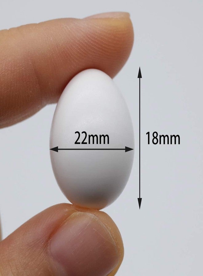 FOIBURELY 8 Pcs Solid Parrot Plastic Eggs Hatching Eggs Lovebird, Bourkes, Lineoleated, Eng Budgie. Trick The Birds to Stop Laying Eggs, Fake Eggs（22mm*18mm） - Image 2